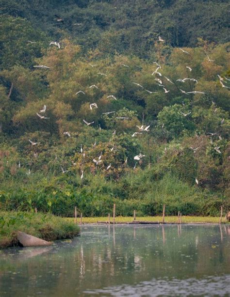 Thung Nham Bird Garden