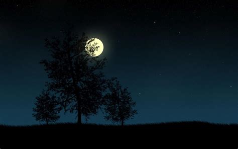 silhouette, 1080P, grass, tree, moonlight, moon, digital art, star ...