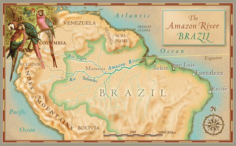 Amazon River Map - Paul Mirocha Design