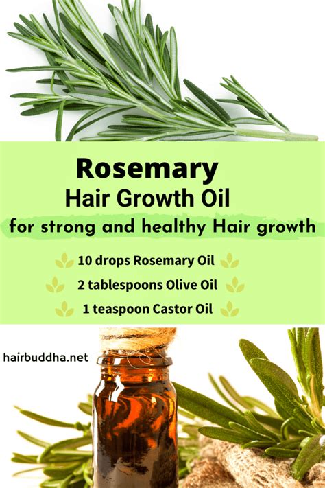 Why Use Rosemary Oil for Hair Growth (Helps with Androgenic Alopecia ...