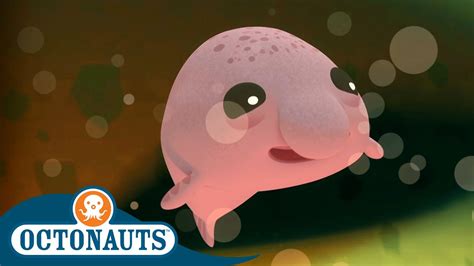 @Octonauts - The Blobfish Brothers | Full Episode 33 | Cartoons for ...