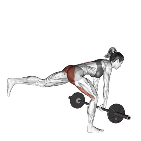 5 Best Barbell Hamstring Exercises (with Pictures!) - Inspire US