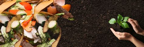 The Pros and Cons of Composting as a Food Waste Solution - Power Knot