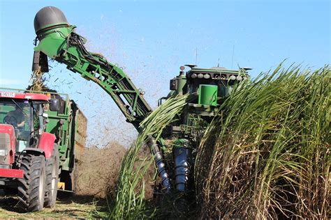 Harvesting Sugar Cane, Mirani Queensland | Cool photos, Queensland ...