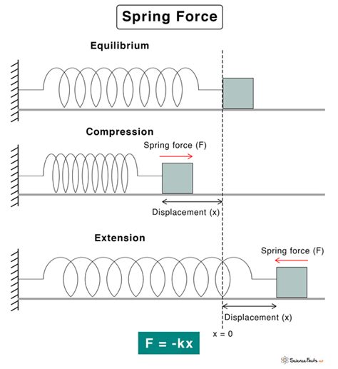 Spring Force: Definition, Formula, and Examples