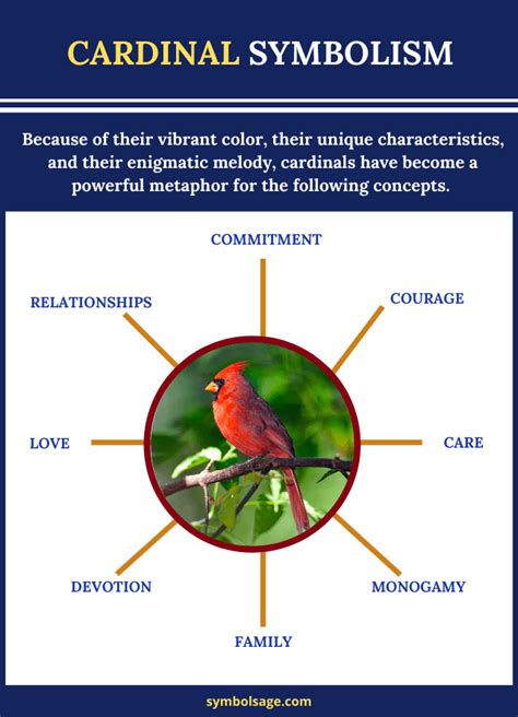 Symbolism Of The Cardinal Bird - Symbol Sage