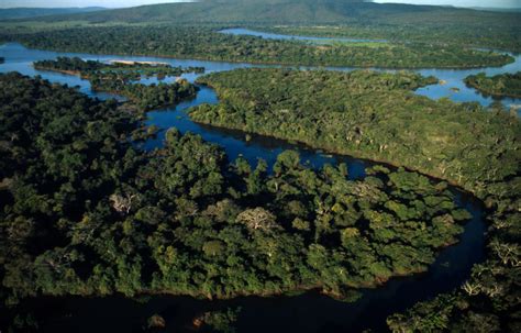 11 Facts About the Pantanal Wetlands