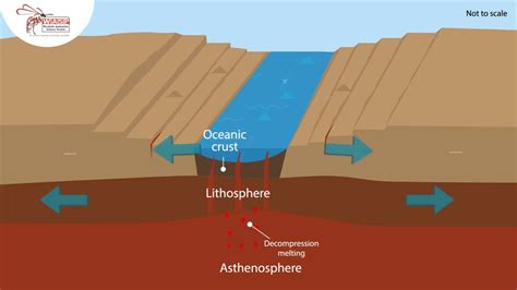 💌 Divergent boundary examples. What are the examples of divergent ...