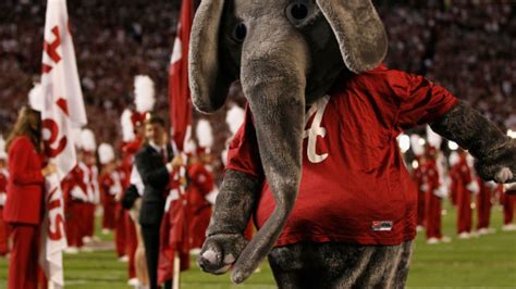 Why Is Alabama's Mascot an Elephant? | Mental Floss