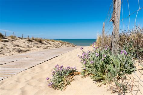 France 4 naturisme : des plages naturistes d’exception en Gironde ...