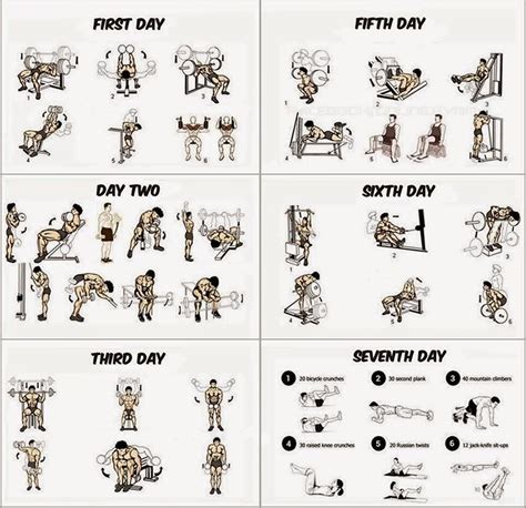 What Is The Best Workout Routine for Building Muscle?