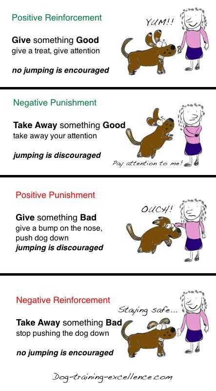 Operant Conditioning, using positive vs. negative dog training methods ...