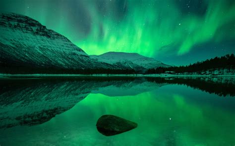 Norway Northern Lights Tour Tromso | Shelly Lighting