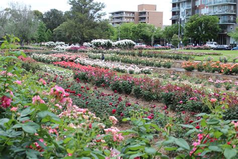 Adelaide & Surrounds | Australian Garden Calendar