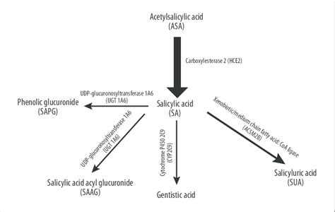 Acetylsalicylic acid metabolic pathway. | Download Scientific Diagram