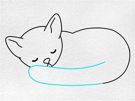 How To Draw A Cat Lying Down - Playerhurt30