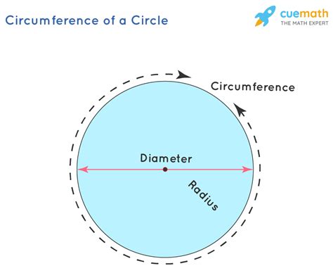 Circumference - Read Shop Pay