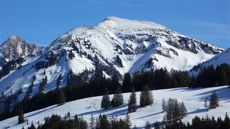 wallpaper mountain, slope, snow, spruces, nature HD : Widescreen : High ...