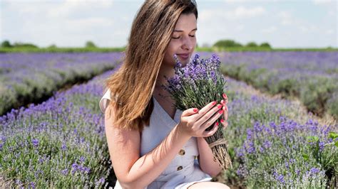 Lavender Color Meaning: Lavender Symbolizes Feminity and Serenity ...