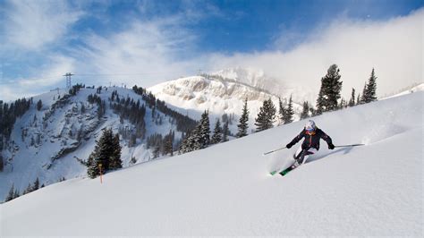 Top 20 Jackson Hole Mountain Resort, Teton Village pet friendly ...