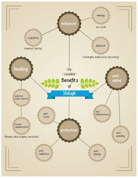 Benefits of Shilajit: A Comprehensive Guide (2022 Data)