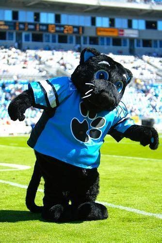 Panther Nation, Carolina Panthers Football, American Football Team ...