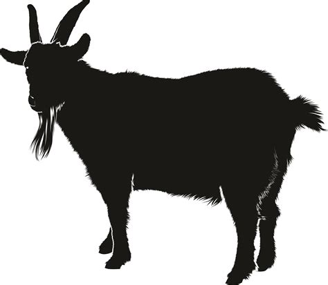 Boer goat Silhouette Clip art - goat png download - 4000*3489 - Free ...