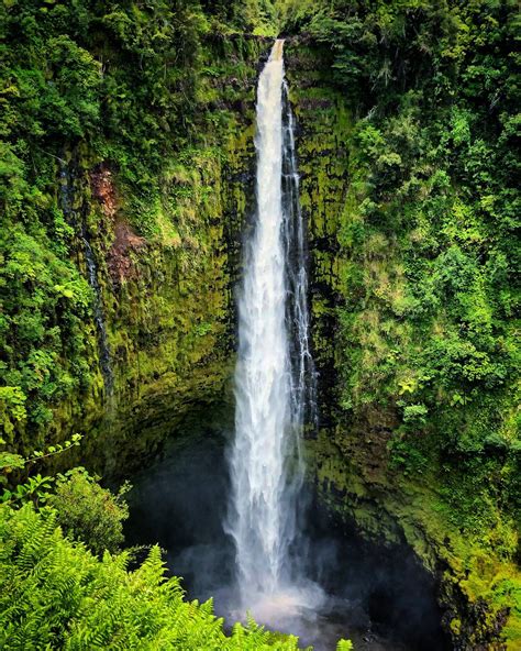 Beautiful Akaka Falls, Hilo | Waterfall, Big island, Hawaii travel