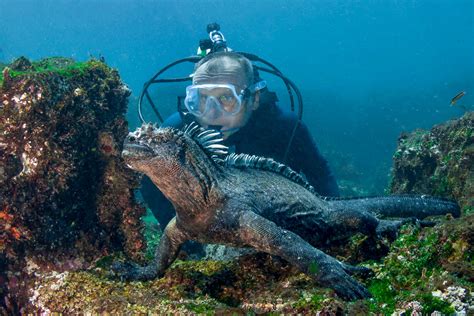 Scuba diving in the Galapagos Islands | ZuBlu