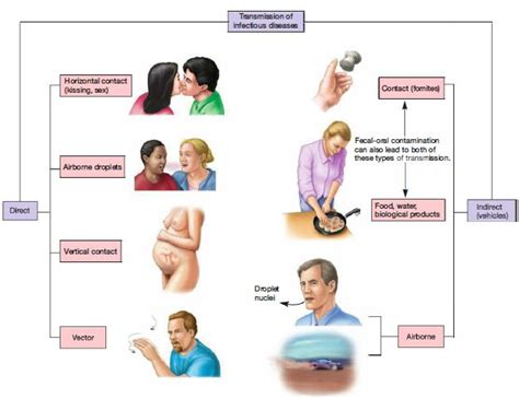 Modes Of Disease Spread