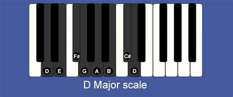 Learning Piano With Pete Sears / d-major-scale.jpg