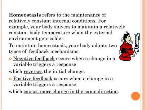 SOLUTION: Homeostasis positive and negative feedback mechanism of ...