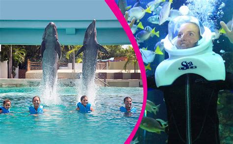 Swim with Dolphins at Cancun Interactive Aquarium