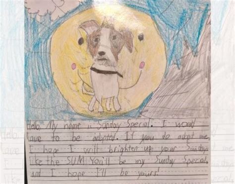 Kids Write Touching Stories From Shelter Dogs' Perspective To Help Them ...