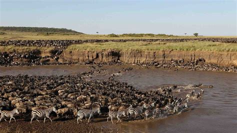 Serengeti National Park | Best Time to Visit Serengeti National Park