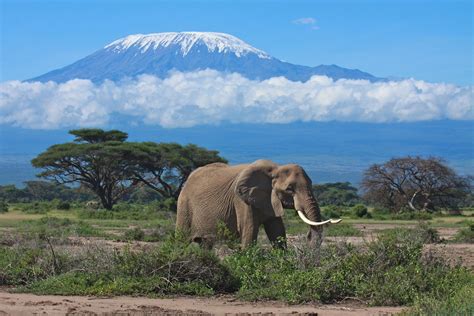 Kilimanjaro National Park