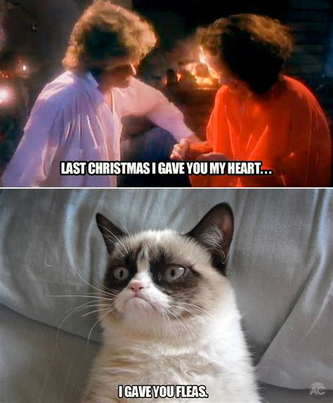 Angry Cat Memes Christmas