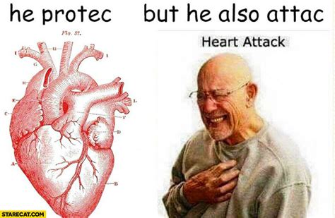 Heart he protects, but he also attacks heart attack | StareCat.com