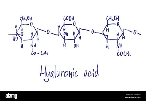 Hyaluronic acid chemical structure. Vector illustration Hand drawn ...