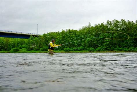 The Norwegian Queen of Salmon Rivers - Daily Scandinavian