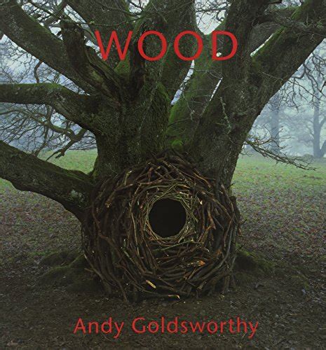 Andy Goldsworthy: Wood by Andy Goldsworthy: Near Fine Hardcover (1996 ...