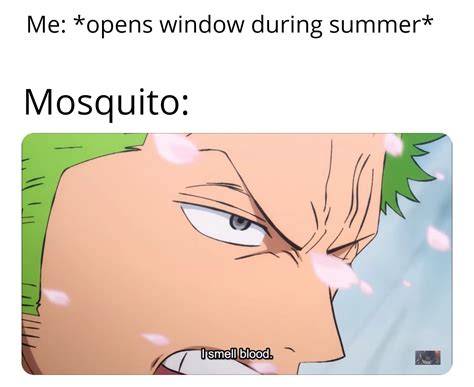 Why I don't open them. : r/MemePiece