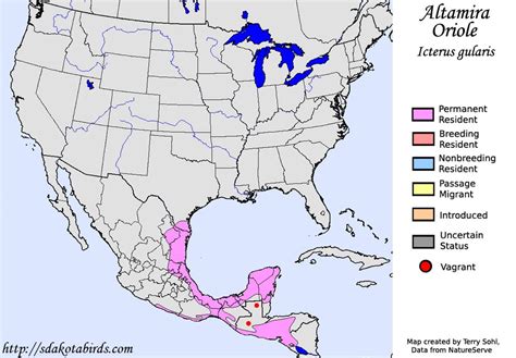 Altamira Oriole - Species Range Map