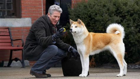 Dogs in History: Hachiko, the Dog that Waited for 9 Years