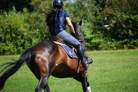 Nikon 139 | Equine Reflections Photography | Flickr