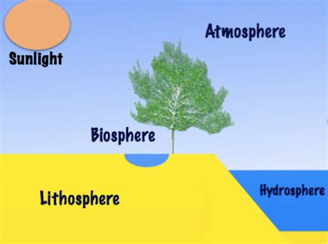 [DIAGRAM] Psychology Career Diagram Of Spheres - MYDIAGRAM.ONLINE