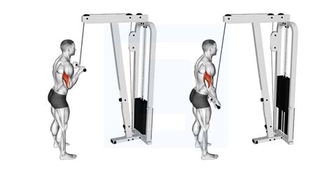 Cable Pushdown - Guide, Benefits, and Form