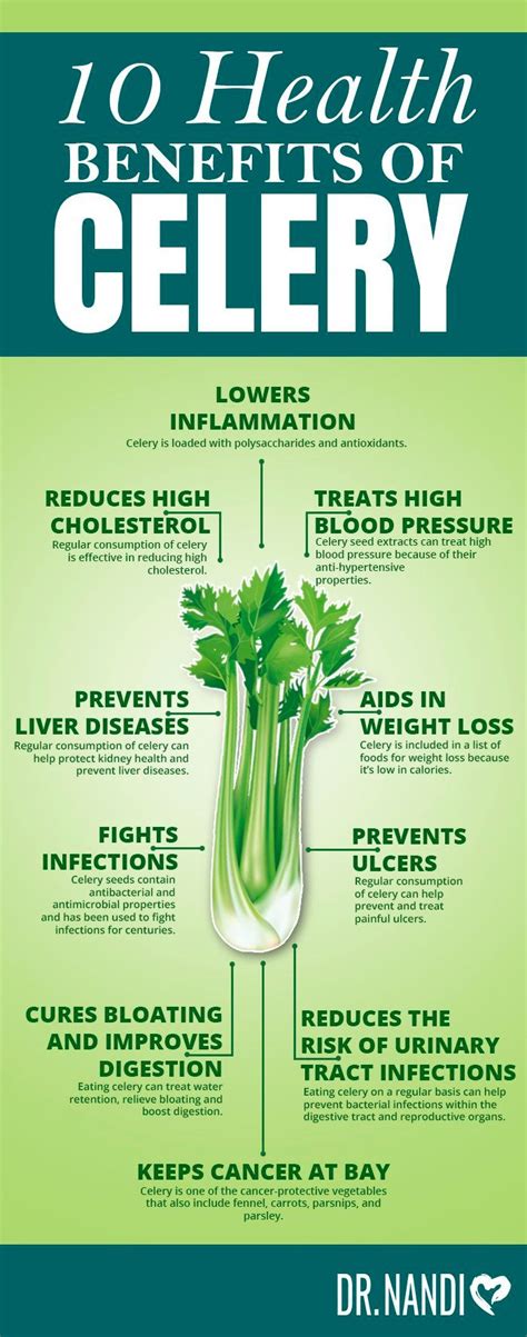 10 Health Benefits of Celery - Dr Nandi | Celery benefits health ...