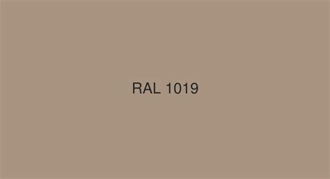 RAL Grey beige [RAL 1019] Color in RAL Classic chart