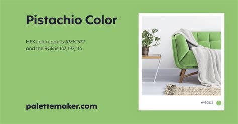 Pistachio Color - HEX #93C572 Meaning and Live Previews - PaletteMaker